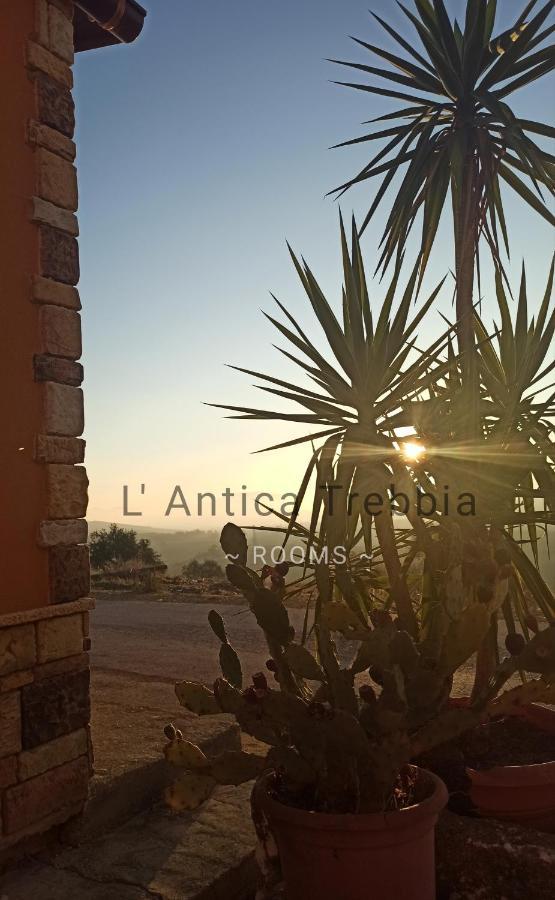 L' Antica Trebbia - Rooms 칼타니세타 외부 사진